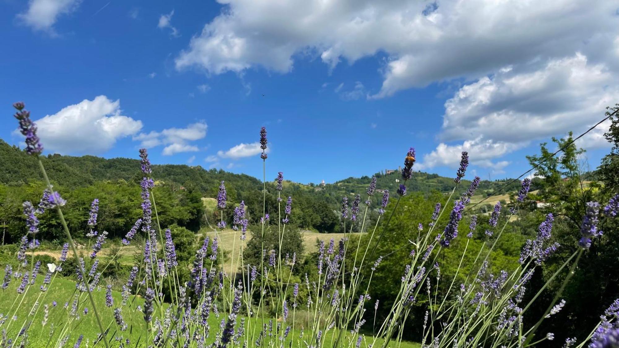 Tenuta San Lorenzo Melazzo Bagian luar foto